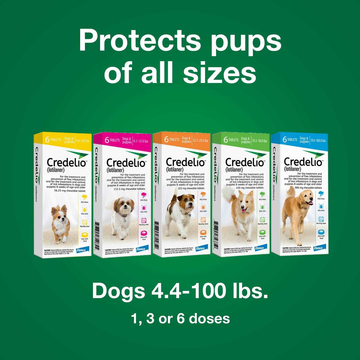 Chewable Tablet for Dogs 12.1-25 lbs F523