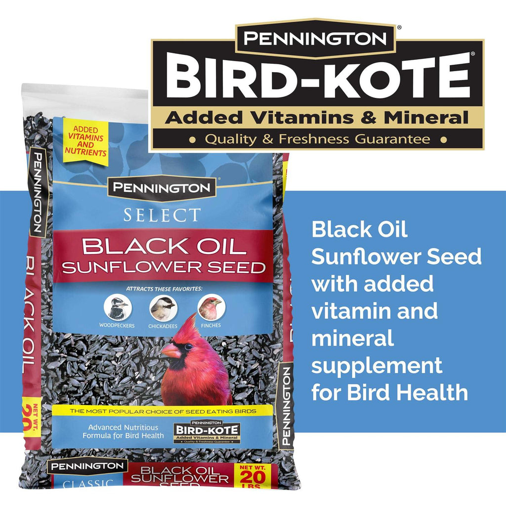Black Oil Sunflower Seed Wild Bird Feed A292731