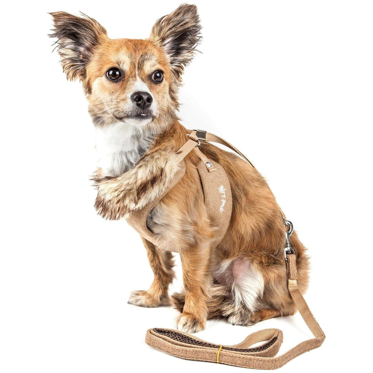 Adjustable Mesh Dog Harness-Leash with Removable Fur Collar E601