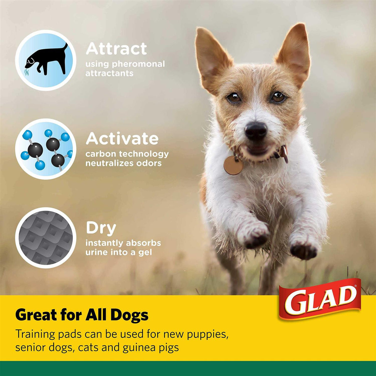 Activated Carbon Puppy Training Pads R3733