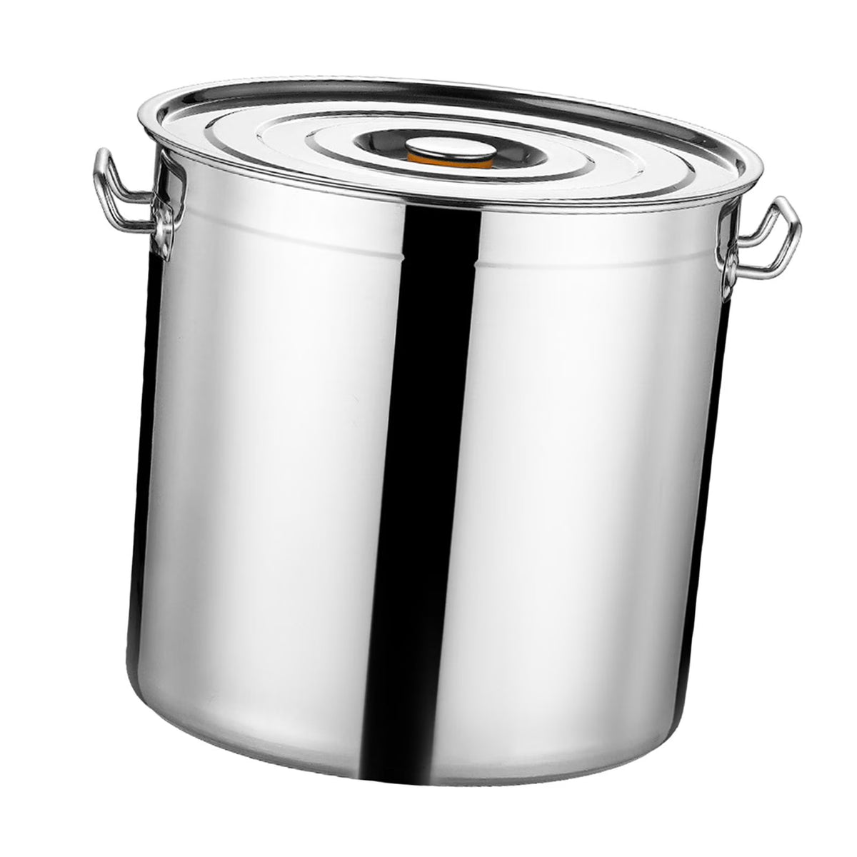 Stainless Steel Stockpot 30cm N9977