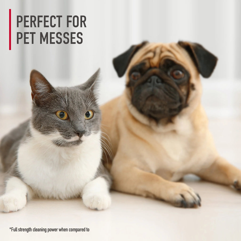 Portable Pet Stain Odor Remover, 32 fl oz G50911