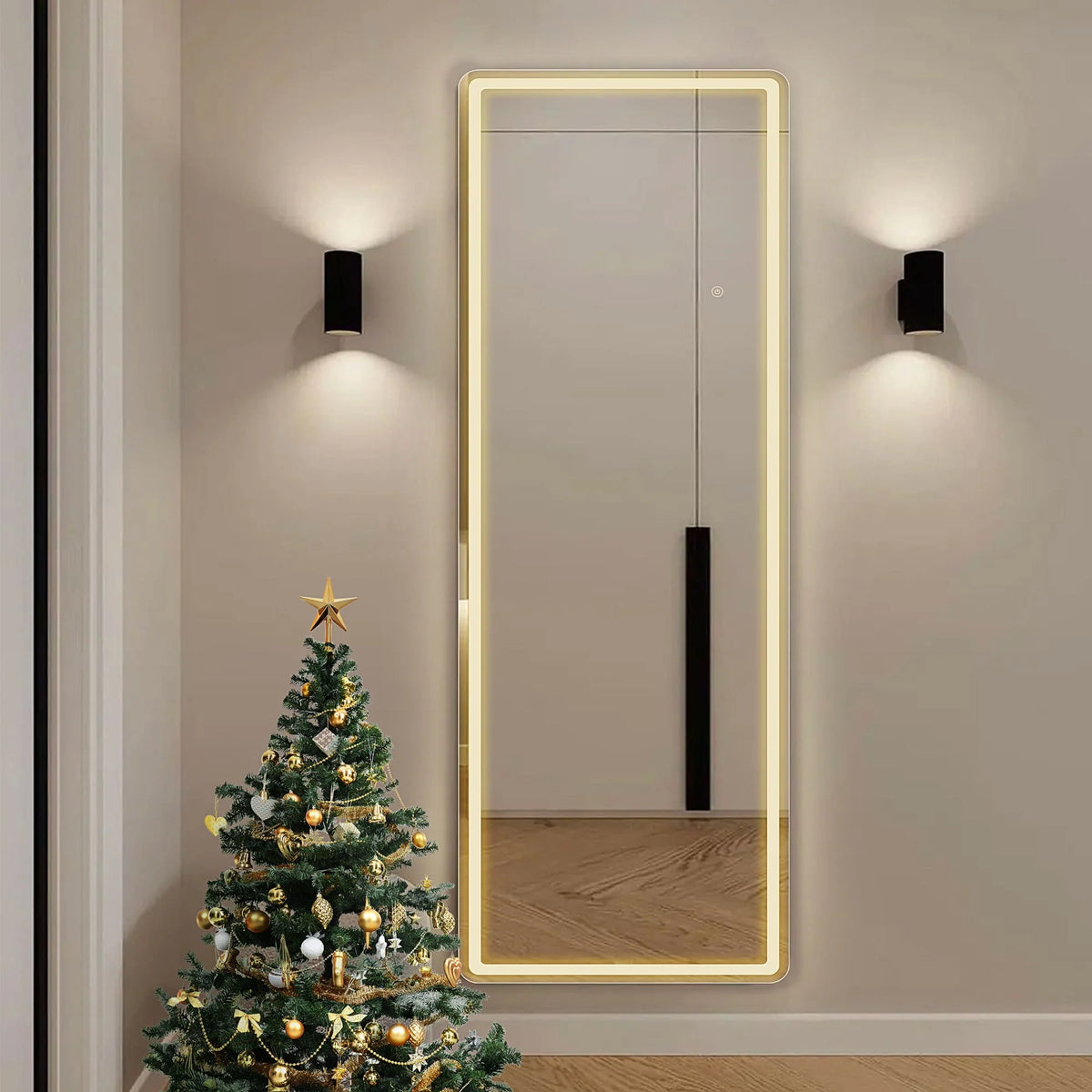 64x21 Black Full Length Mirror C89188