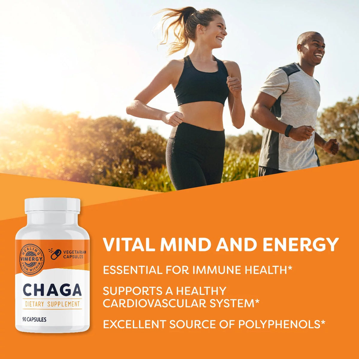 Chaga Mushroom Capsules U4505