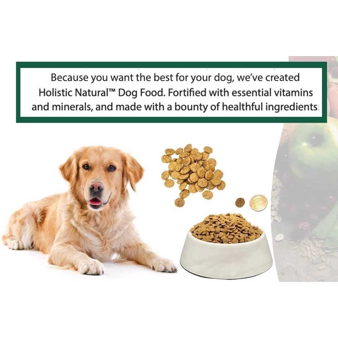 6.6 lb Chicken Meal and Brown Rice Recipe Dry Dog Food M23702