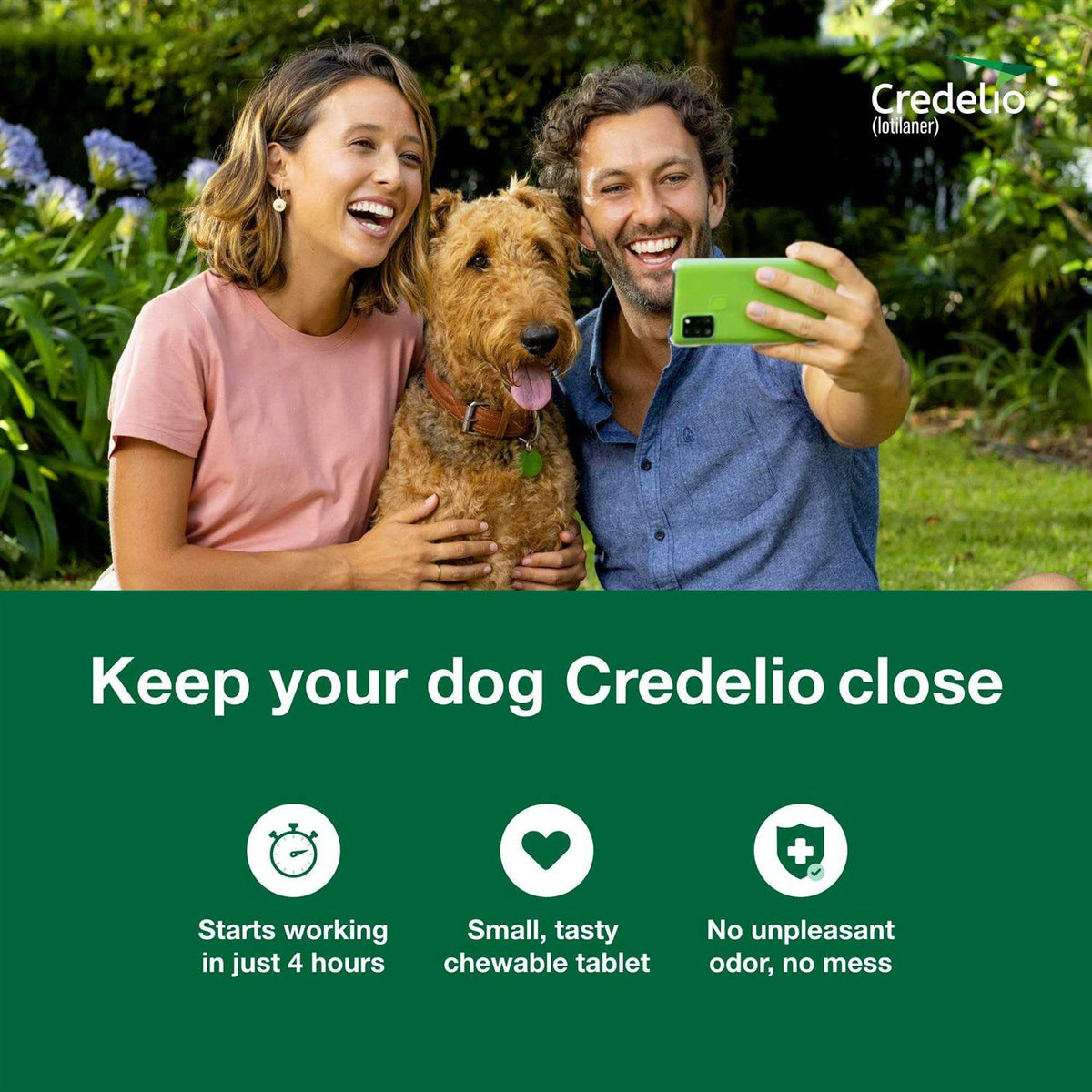 Chewable Tablet for Dogs 12.1-25 lbs F523