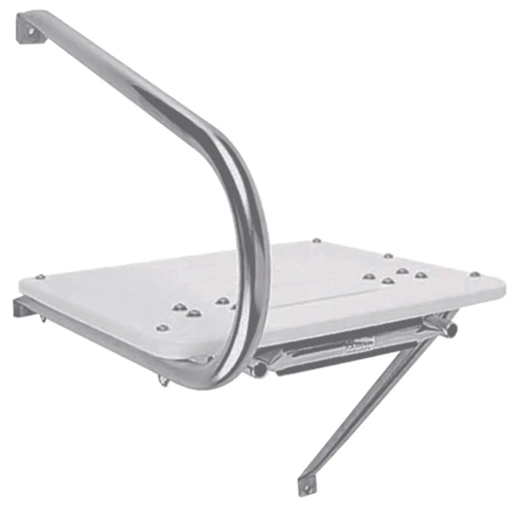 Transom Platform with 2-Step Telescoping Ladder P4186
