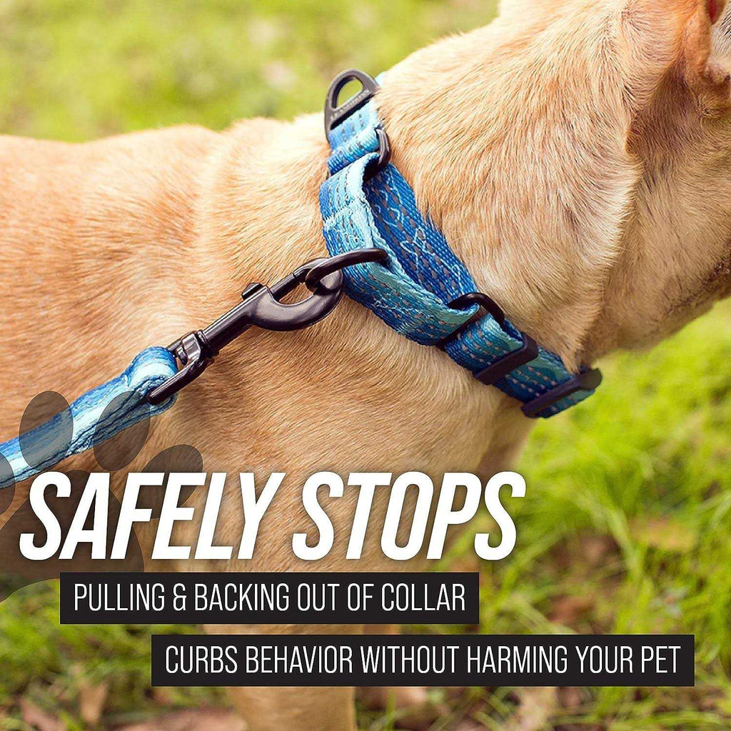 Patterned Fabric Martingale Dog Collar B98788