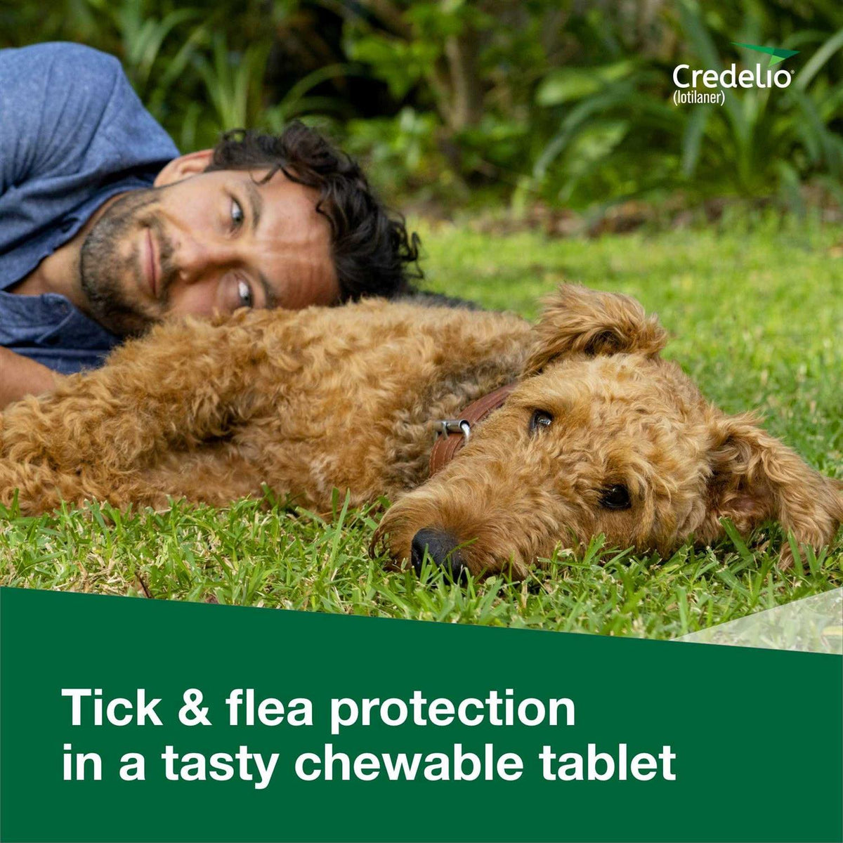 Chewable Tablet for Dogs 12.1-25 lbs F523