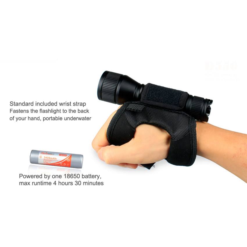 D550 Dive Light with Battery & Charger Kit B5488