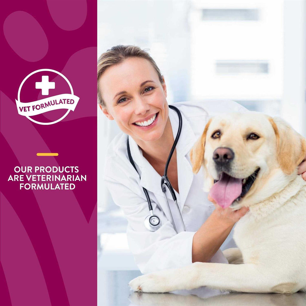 MSM Tablets for Dogs S8258