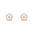 Earrings R8871