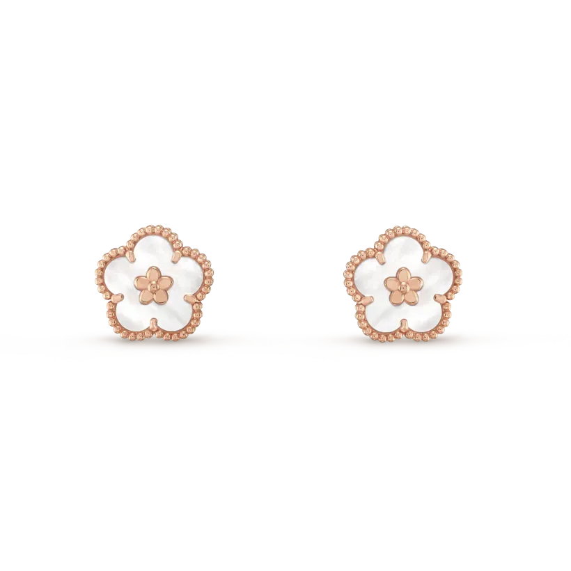Earrings R8871