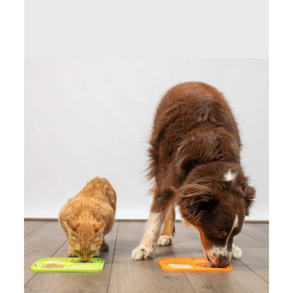 Licking Mat X979572