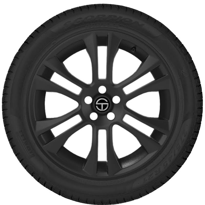 295/40R20 106V Winter Tire G17437