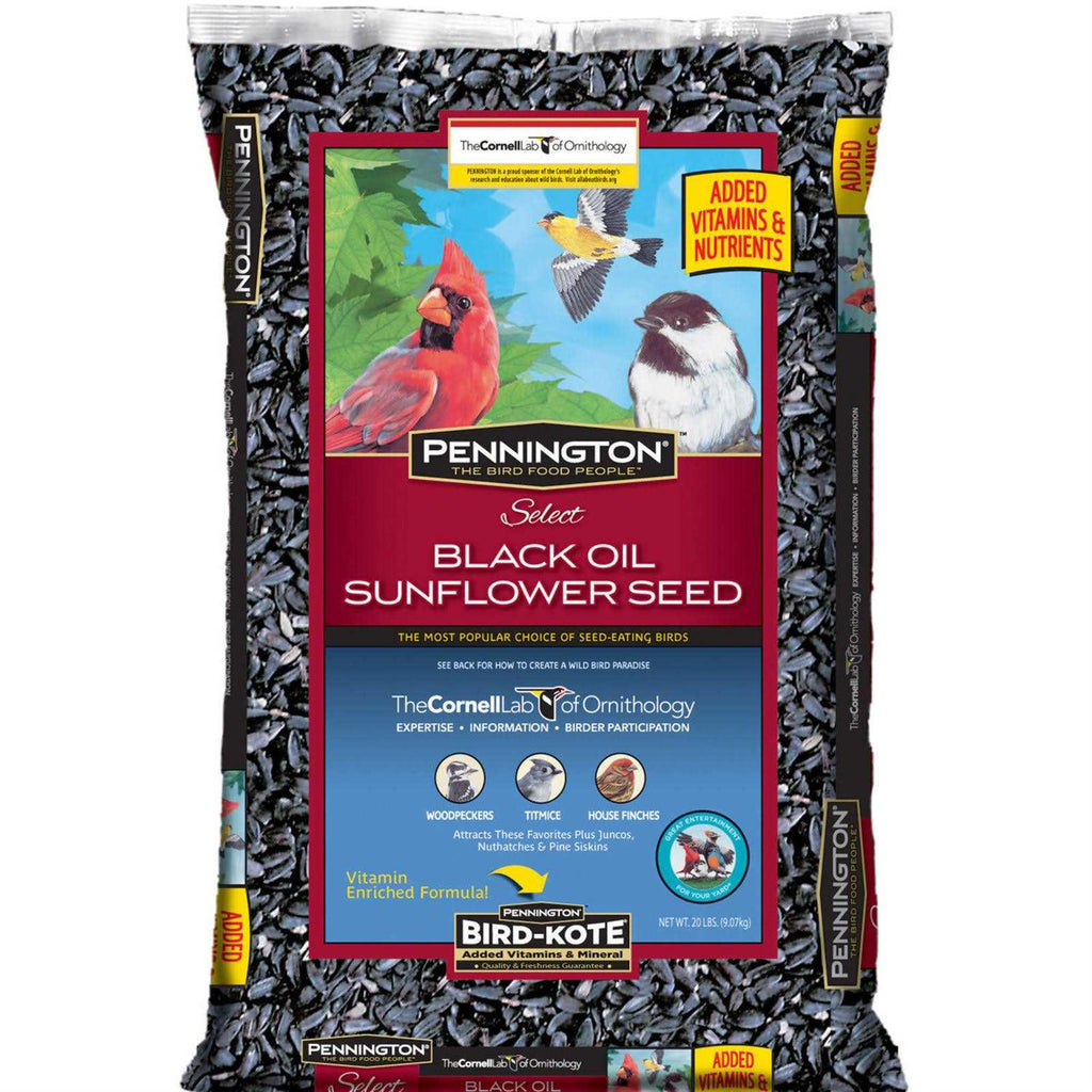 Black Oil Sunflower Seed Wild Bird Feed A292731