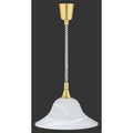 Black Colgante Lamp B2687