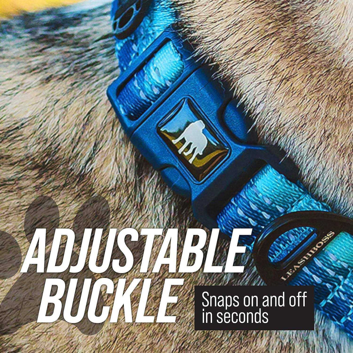 Patterned Fabric Martingale Dog Collar B98788