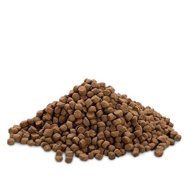 High Protein Growth Puppy Food S890
