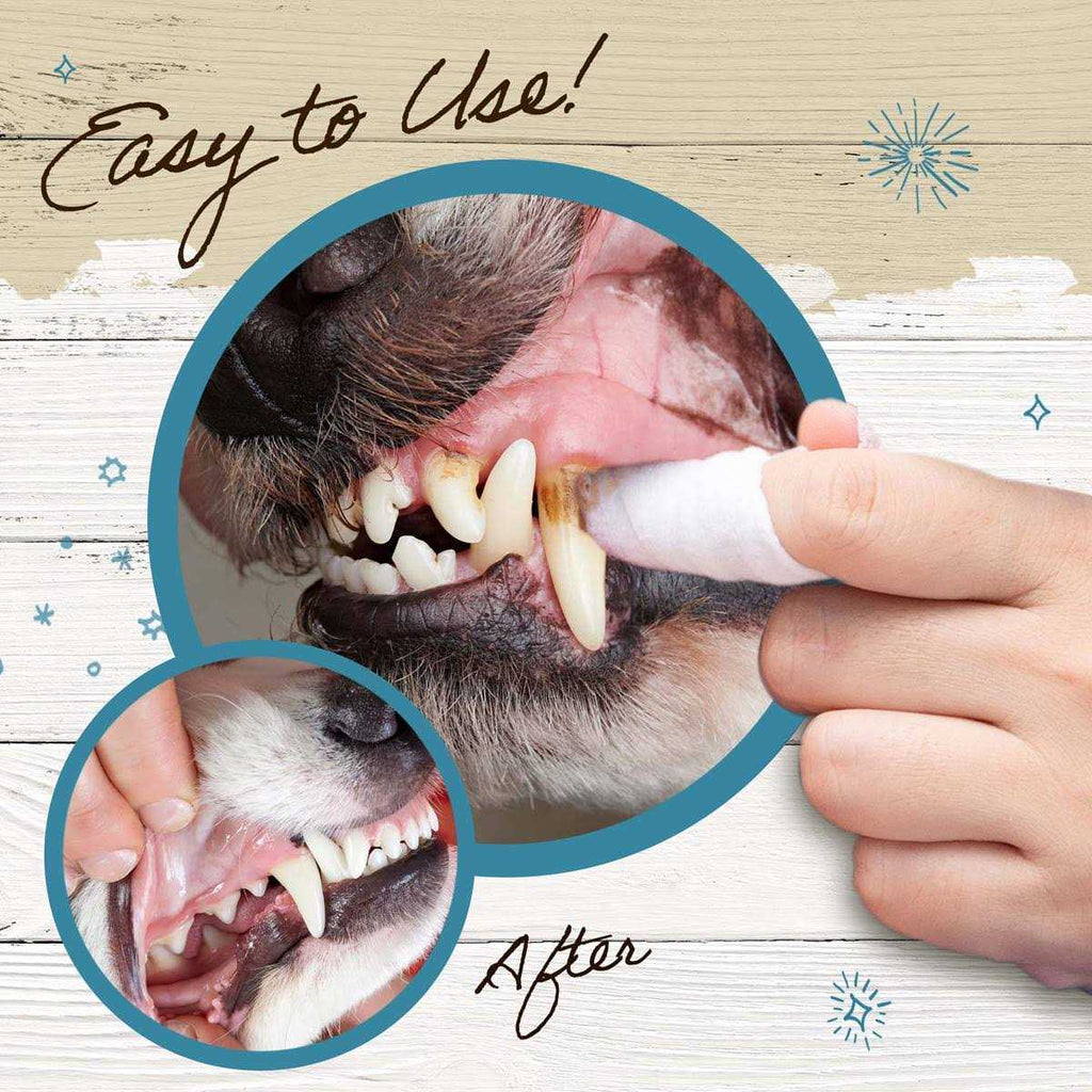 Dental Wipes for Dogs & Cats 50 Count S529