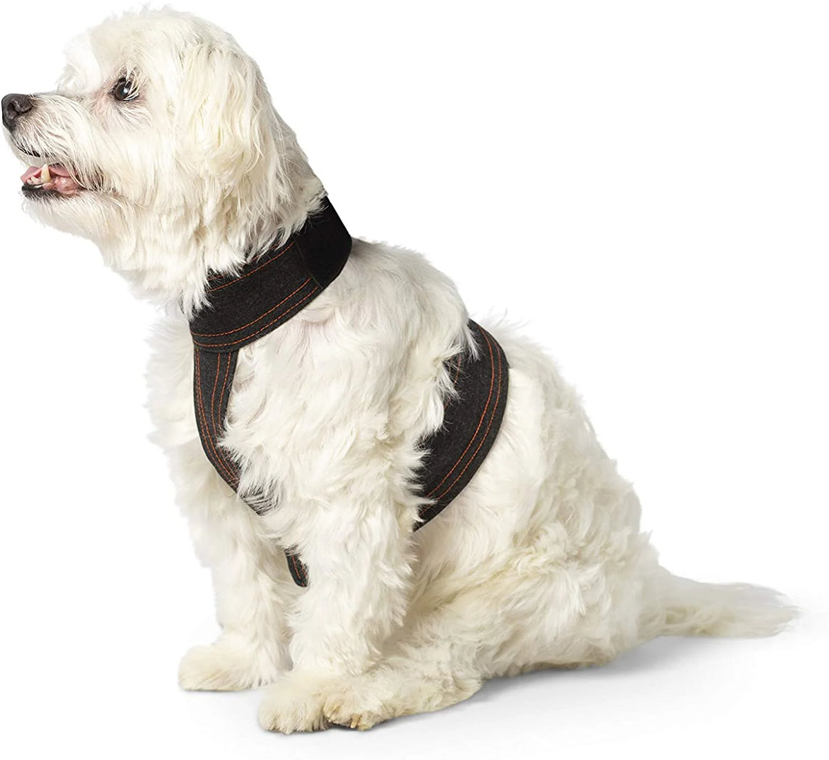 Calmer Canine Accessory Vest J4507