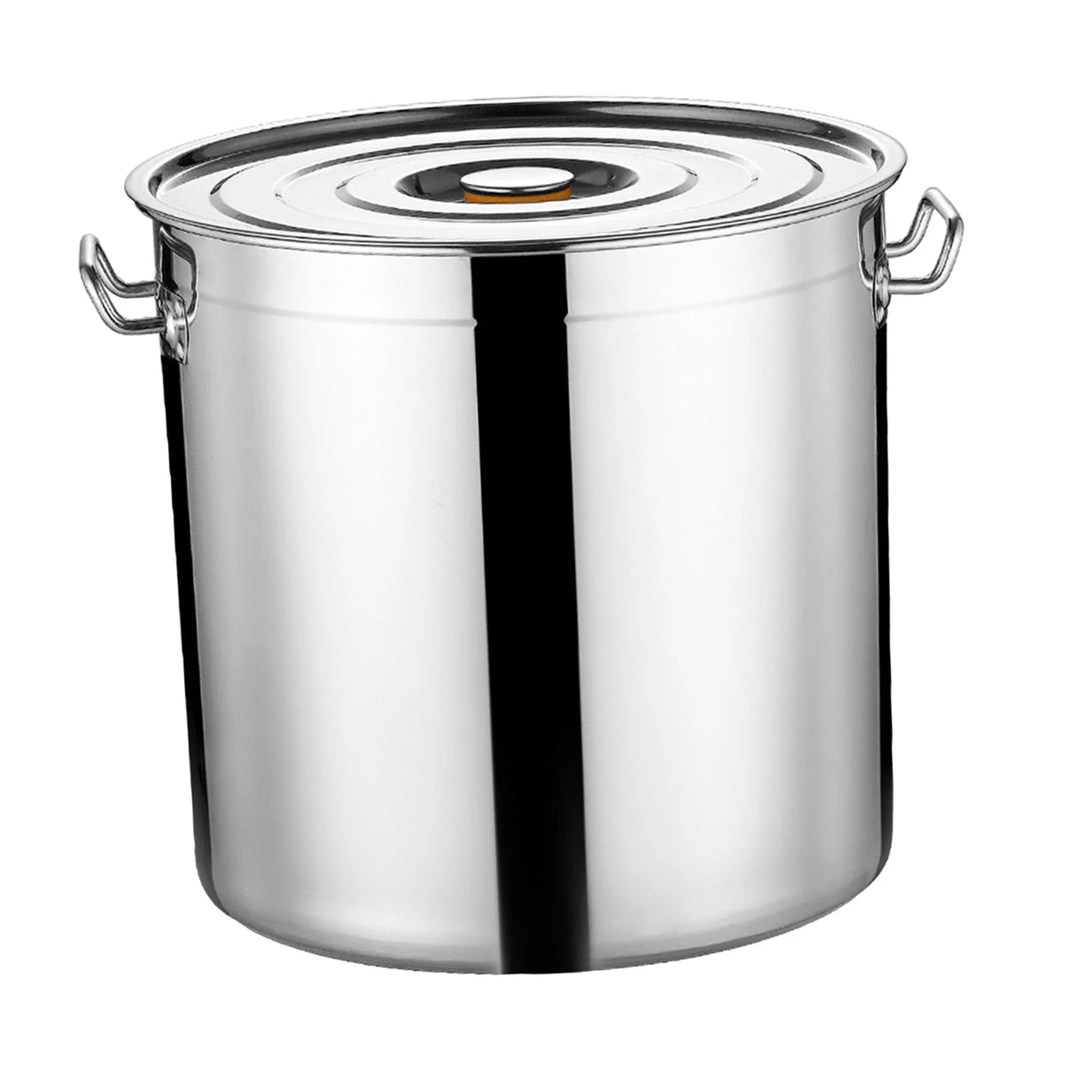 Stainless Steel Stockpot 30cm N9977