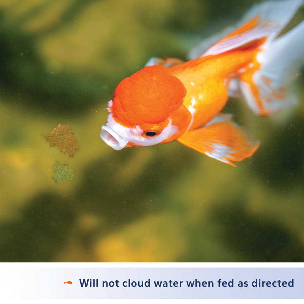 Goldfish Flakes B62907