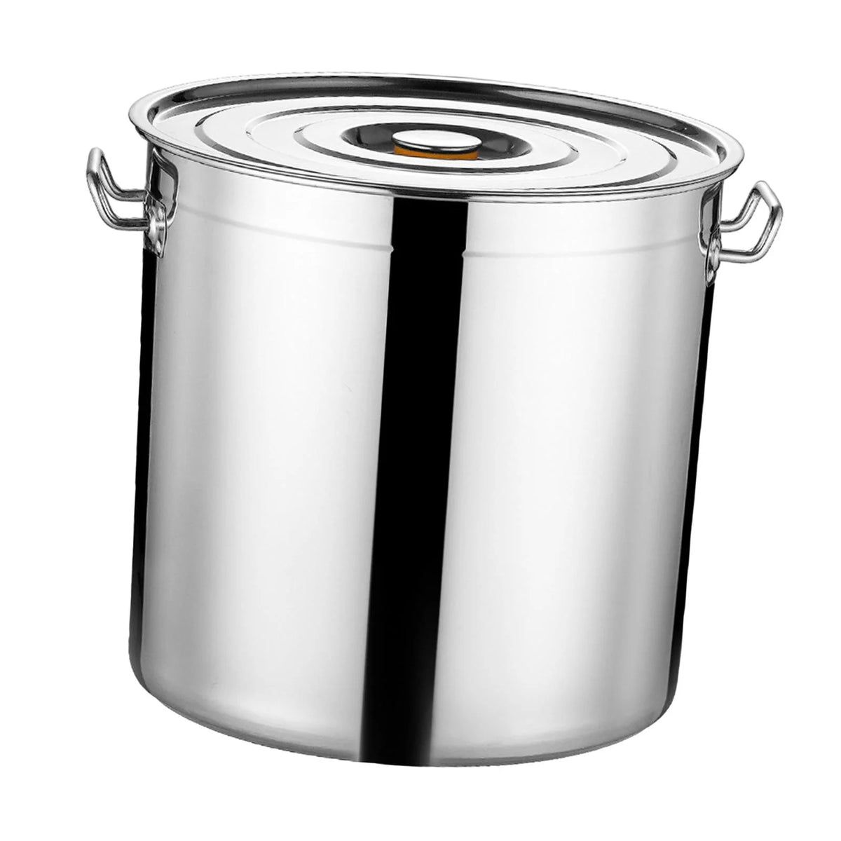 Stainless Steel Stockpot 30cm N9977