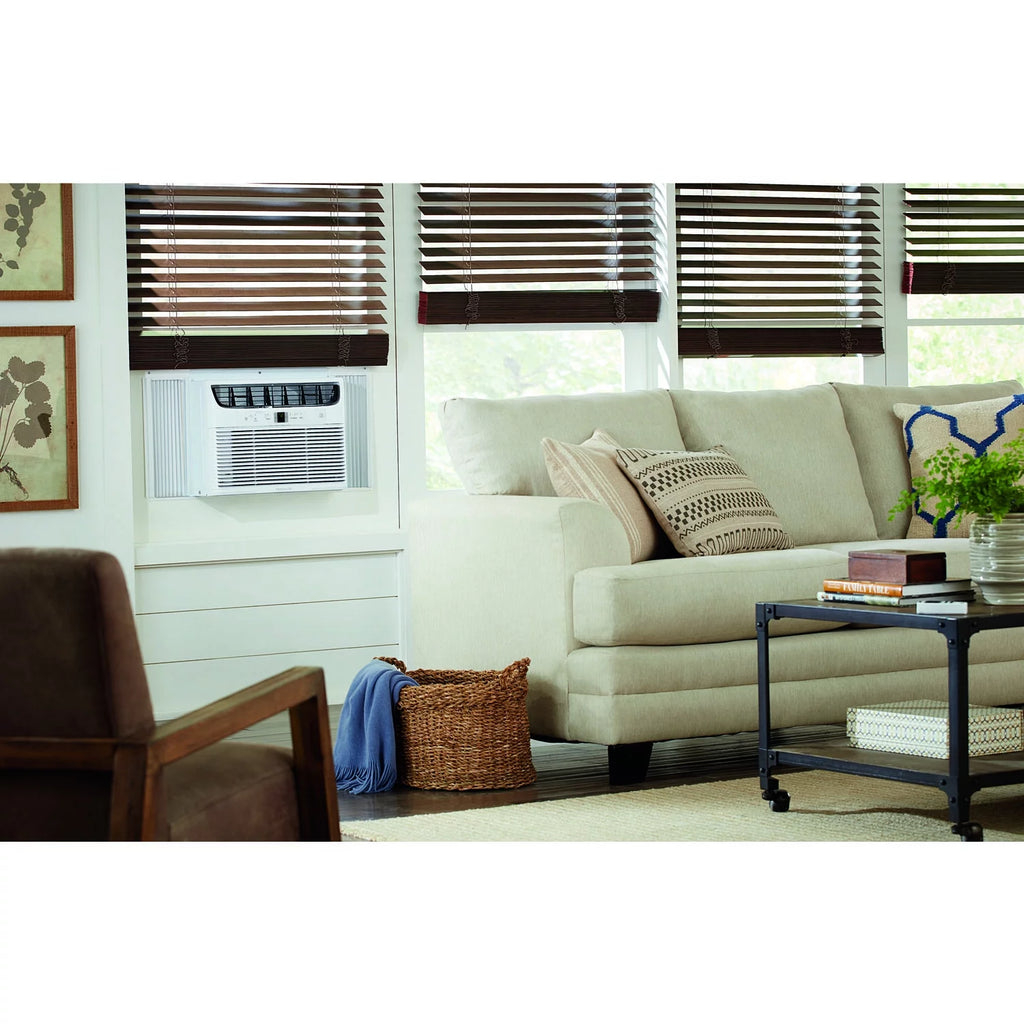 15,100 BTU Window-Mounted Air Conditioner R139