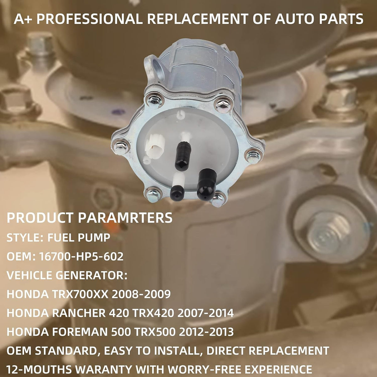Fuel Pump Pack of 2 G437