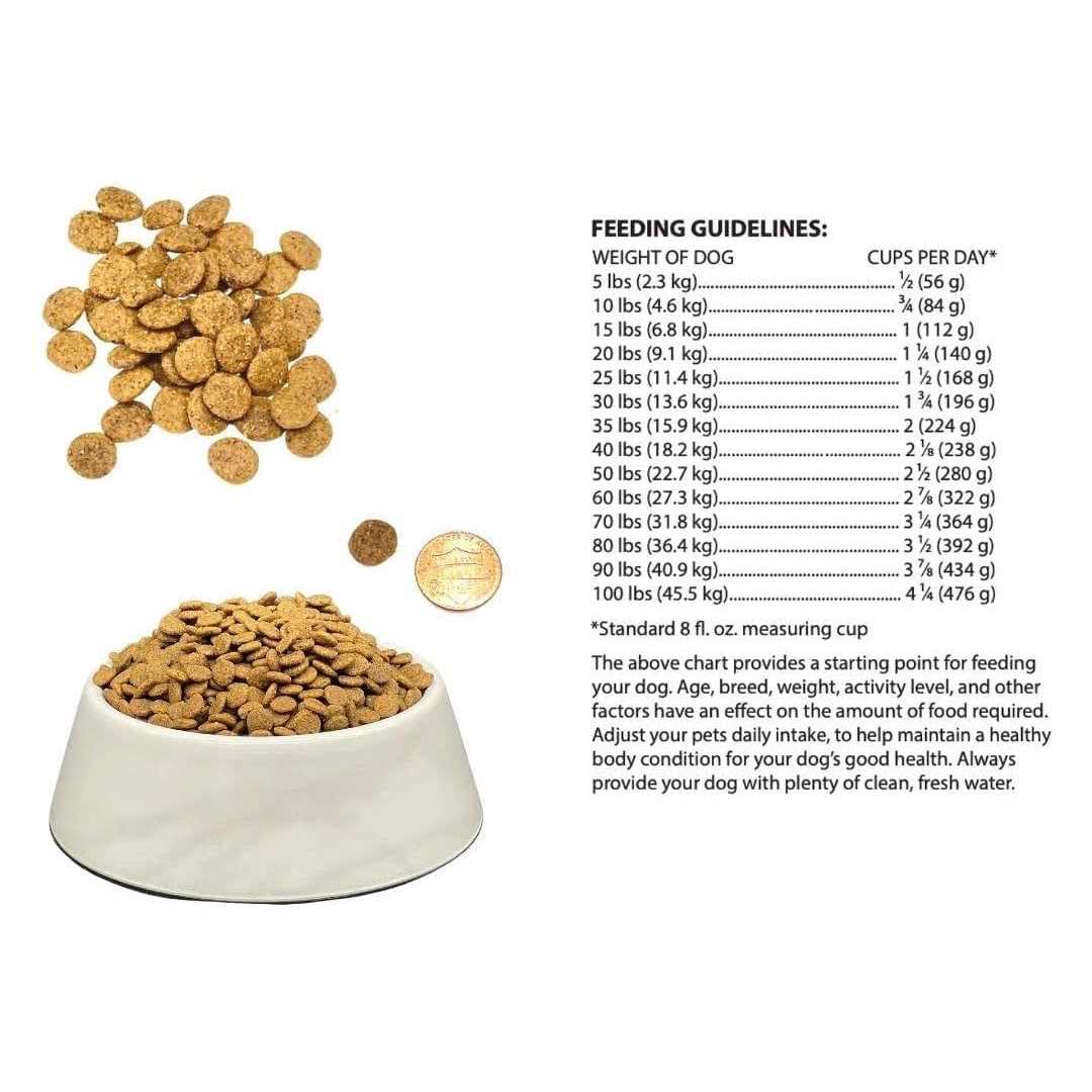 6.6 lb Chicken Meal and Brown Rice Recipe Dry Dog Food M23702