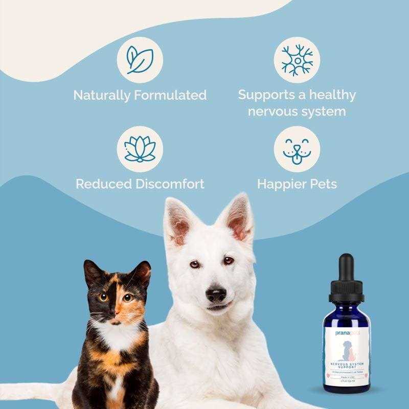 Nervous System Support for Dogs L802450