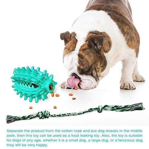 Toothbrush Dog Chew Toy I34392