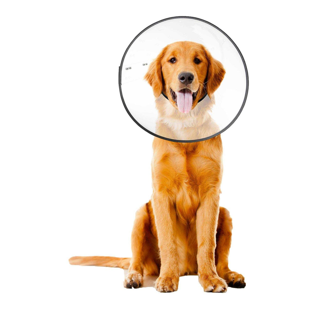 Clear Recovery Collar N804652