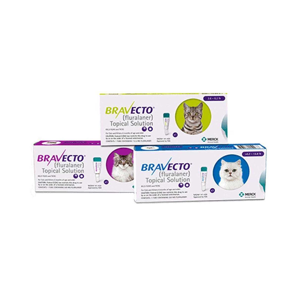 Bravecto Topical Solution for Cats M3423