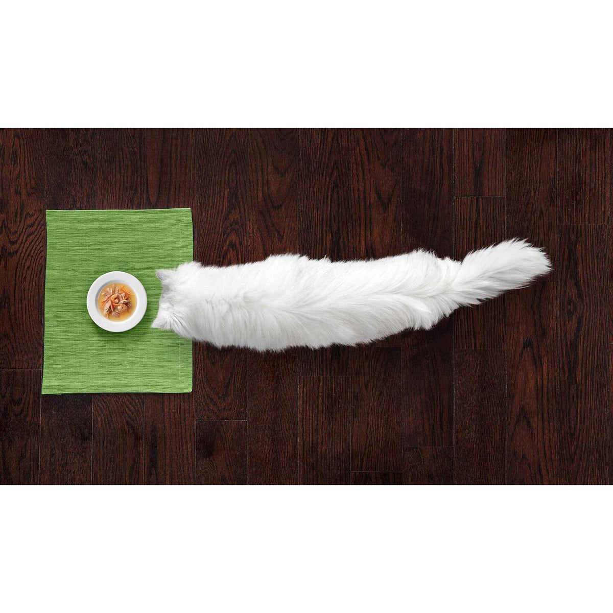 Cat Food A990239