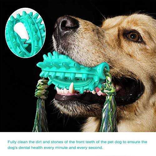 Toothbrush Dog Chew Toy I34392