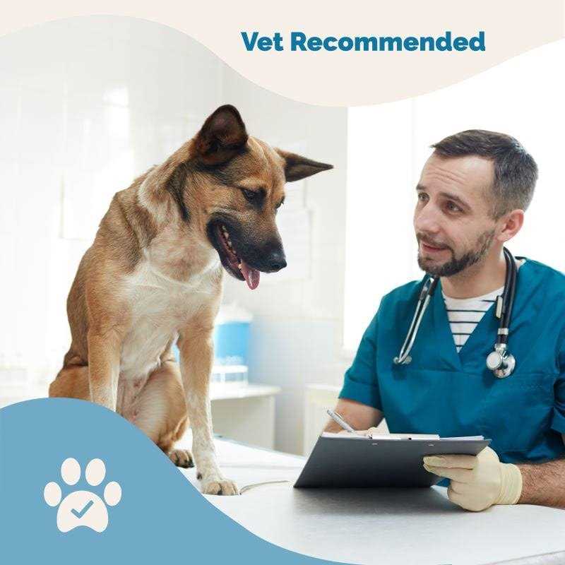 Nervous System Support for Dogs L802450