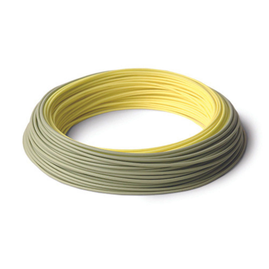 Rio InTouch Salmo Steelhead WF7F Fly Line C578