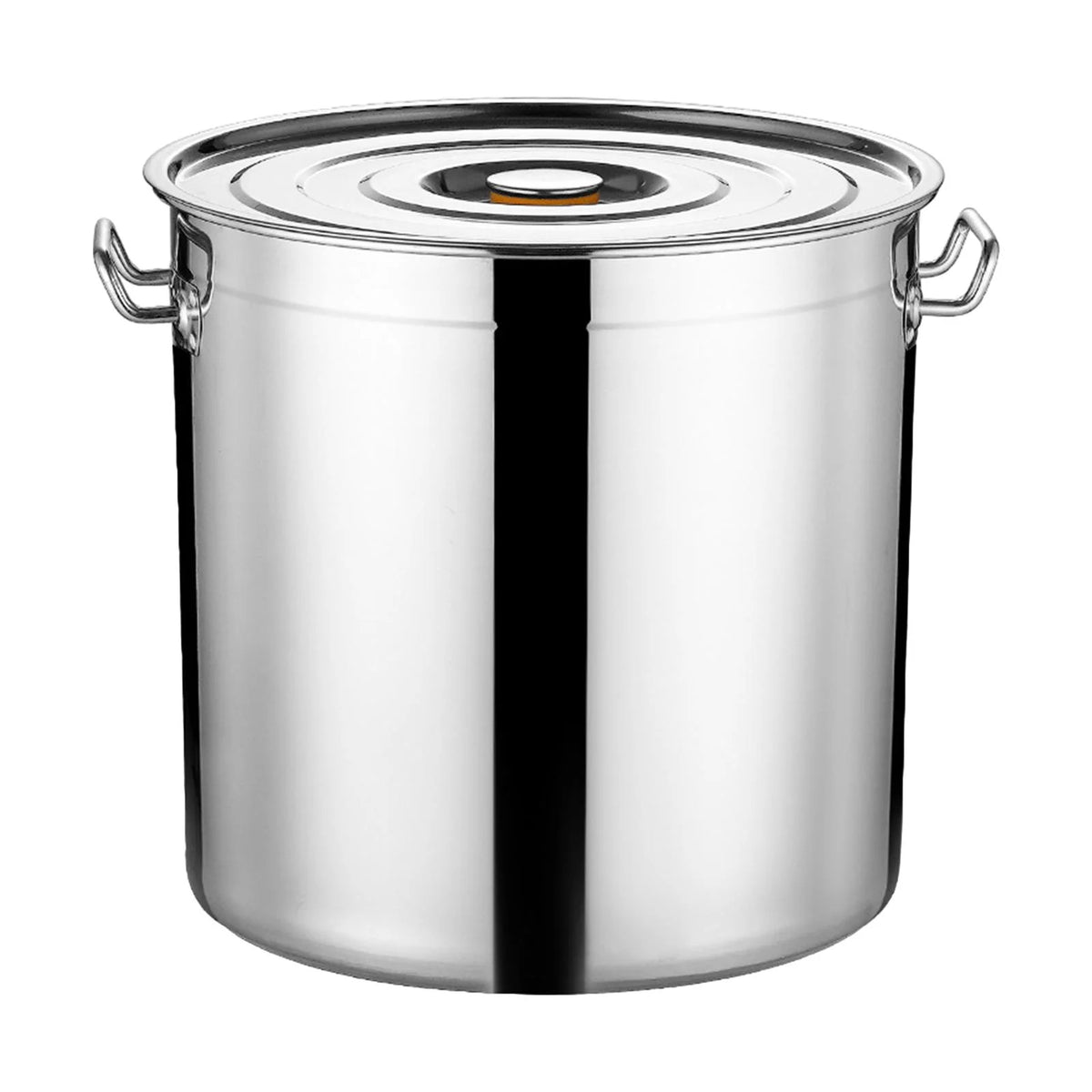 Stainless Steel Stockpot 30cm N9977