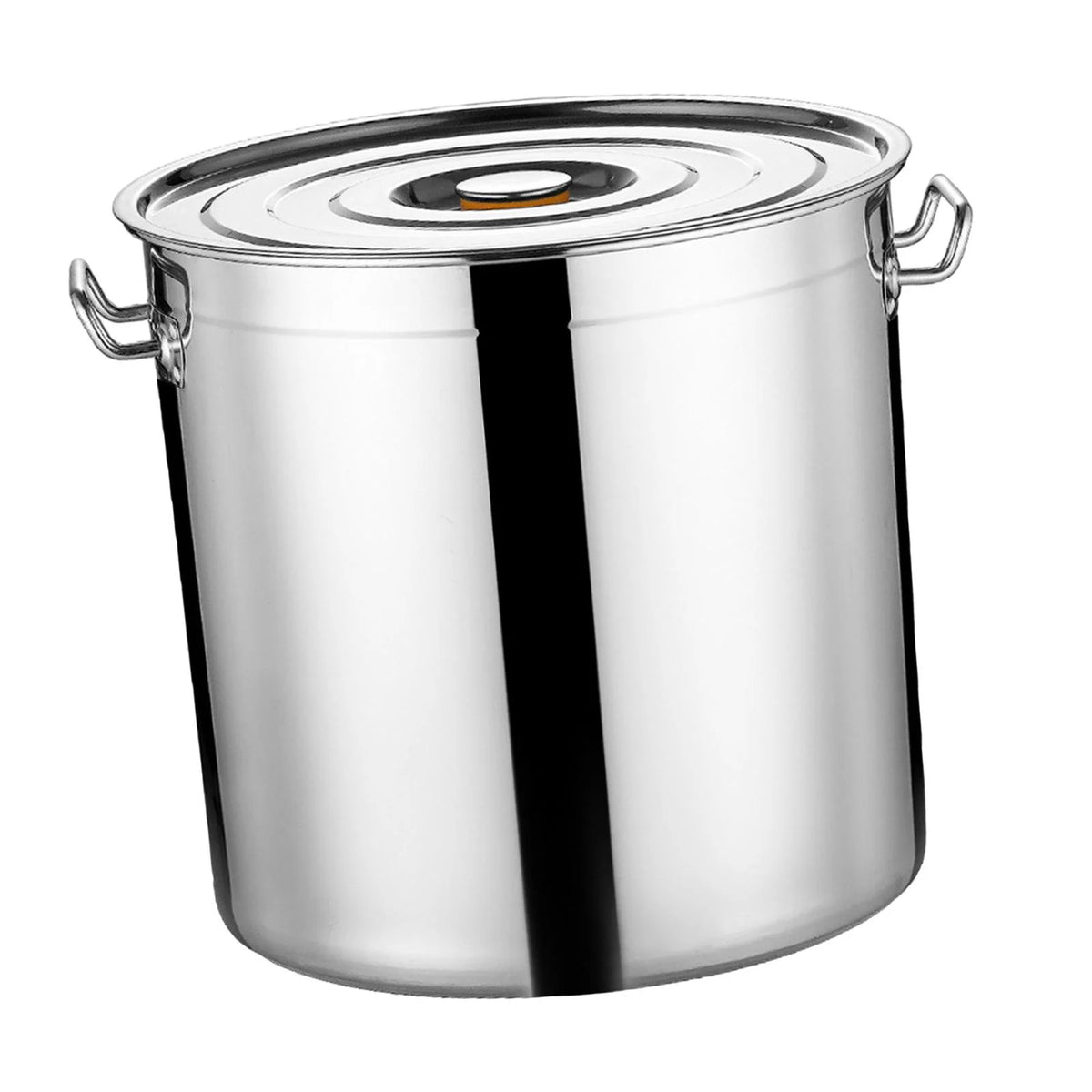 Stainless Steel Stockpot 30cm N9977